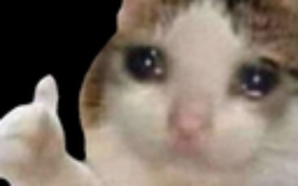 
        Zbiórka Dacie coś na lapka - zdjęcie główne
    