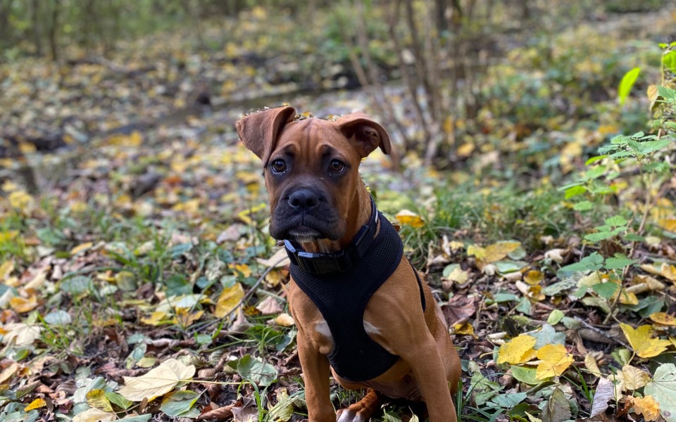 
        Zbiórka Spełnienie marzenia-wylot do USA - zdjęcie główne
    