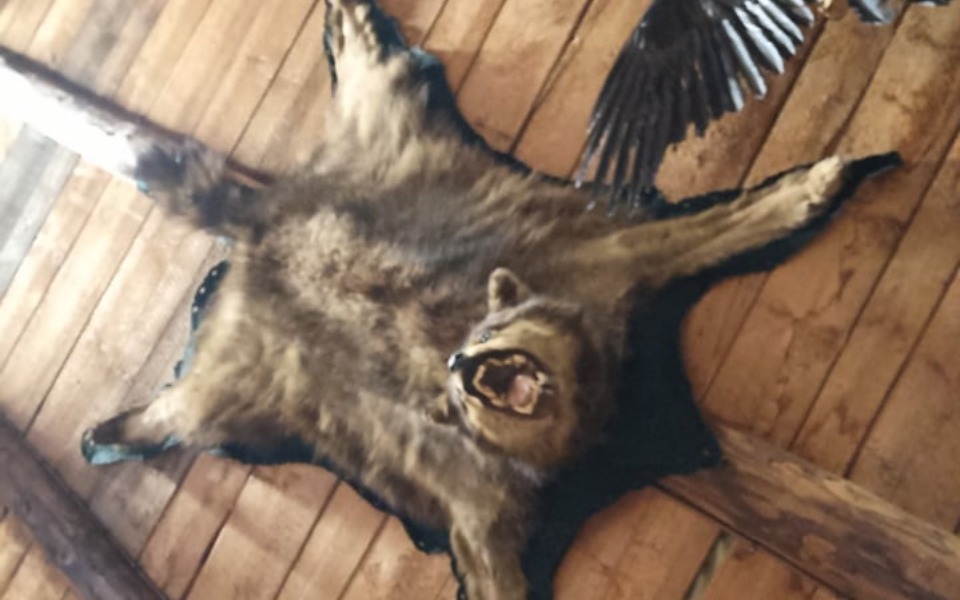 
        Zbiórka Żałujmy żywych, nie Umarłych - zdjęcie główne
    