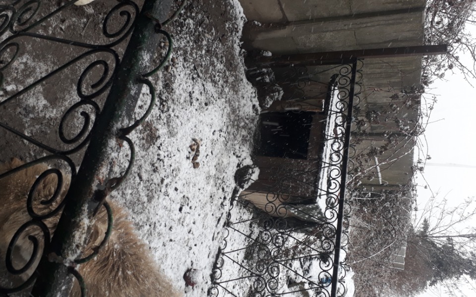 
        Zbiórka Na nową bude dla pieska - zdjęcie główne
    