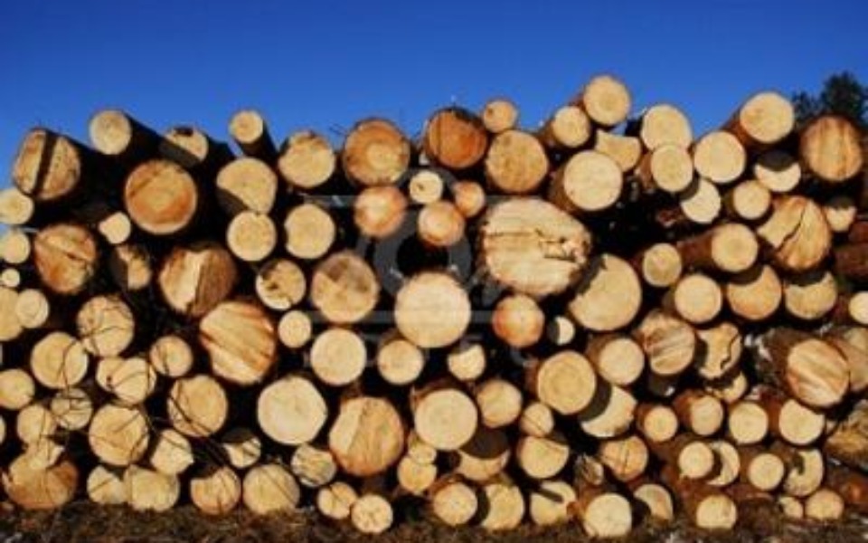 
        Zbiórka Zbiórka na opał i inne - zdjęcie główne
    