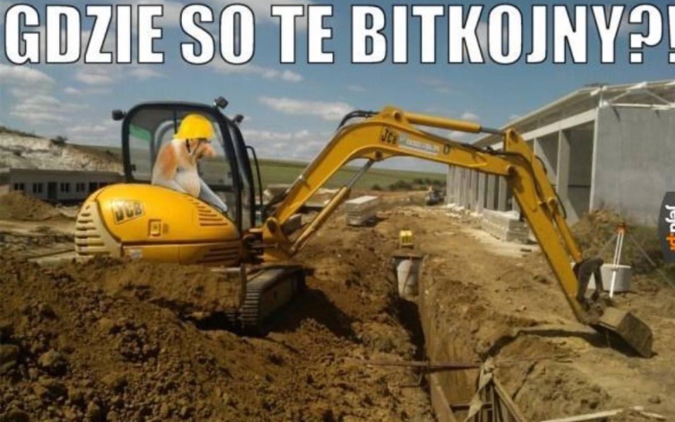 
        Zbiórka Na owocną przyszłość - zdjęcie główne
    