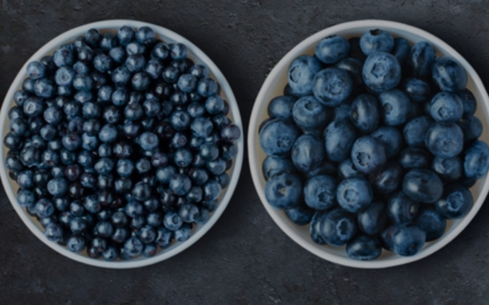 
        Zbiórka Na borowki do końca życia - zdjęcie główne
    