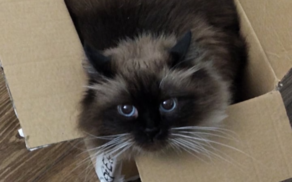 
        Zbiórka Na ratunek Nali - zdjęcie główne
    