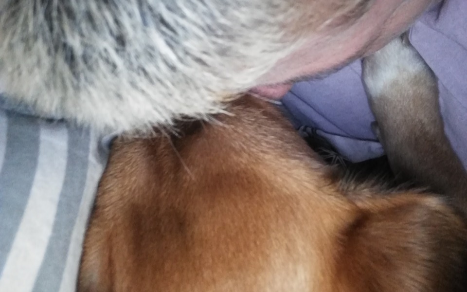 
        Zbiórka Z nadzieją przez życie - zdjęcie główne
    