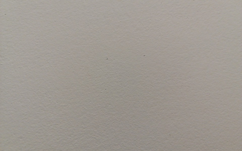 
        Zbiórka Wyjściee na prostą - zdjęcie główne
    