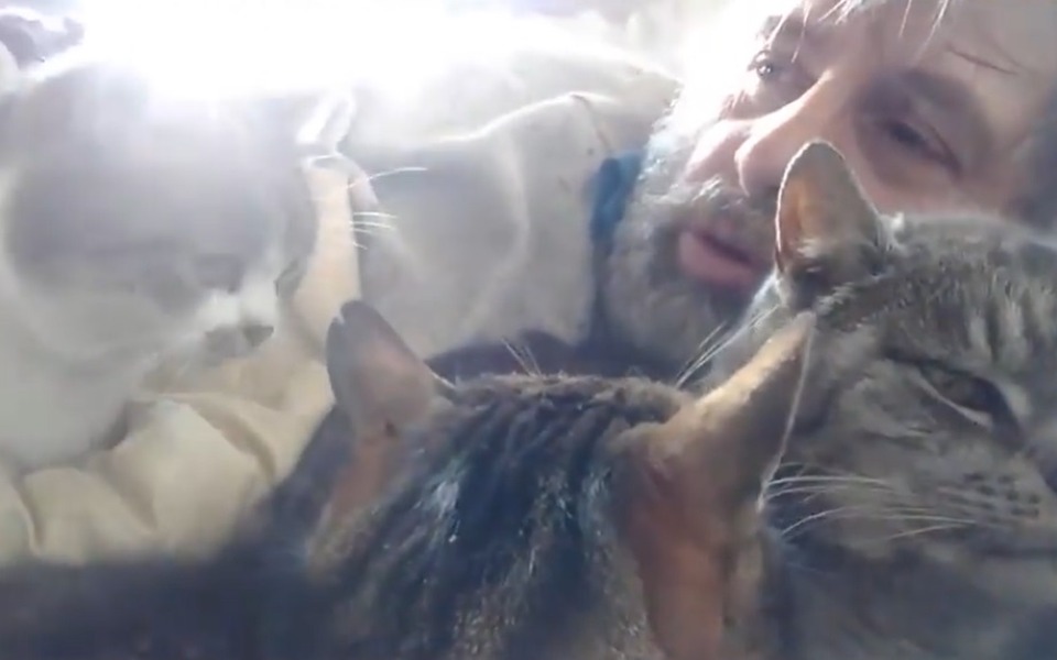 
        Zbiórka Na pomoc Kotom i Człowiekowi... - zdjęcie główne
    