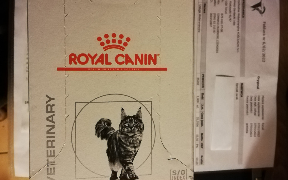 
        Zbiórka Karma weterynaryjna dla Romeo - zdjęcie główne
    