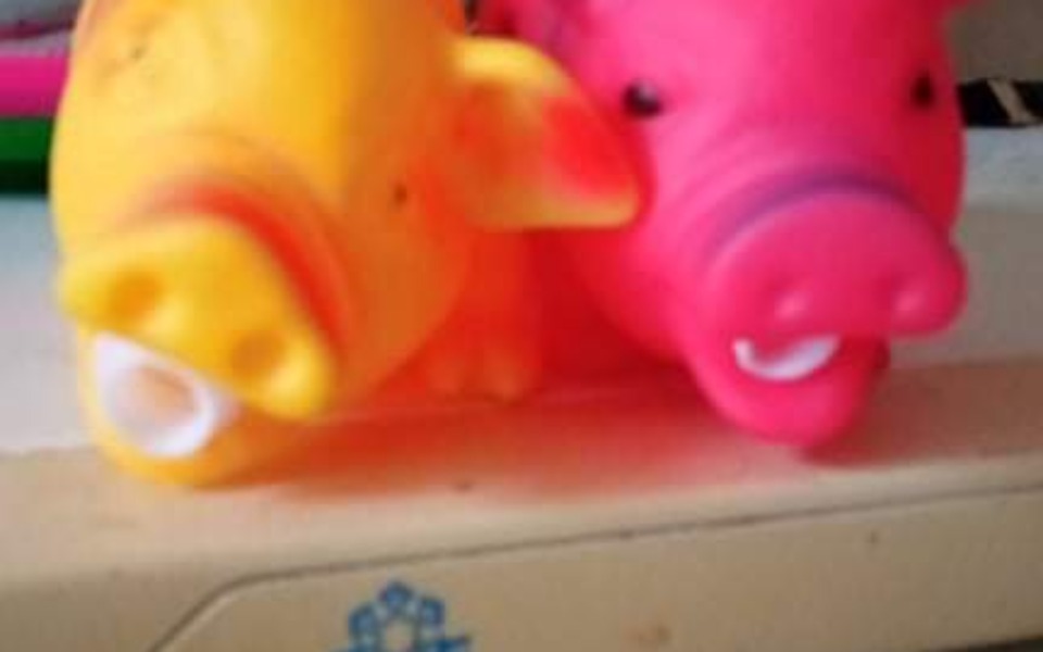 
        Zbiórka Na leczenie i opłaty bierzace - zdjęcie główne
    