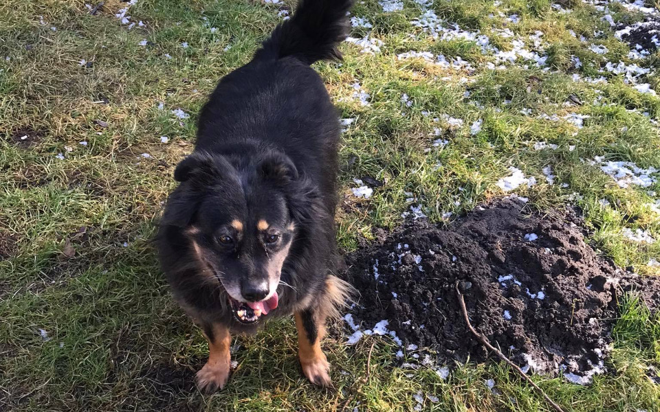 
        Zbiórka Zapomniany Marcel z pola - zdjęcie główne
    