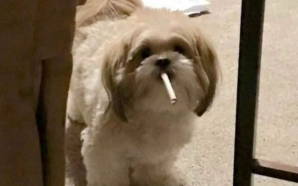 
        Zbiórka Egzamin praktyczny - zdjęcie główne
    