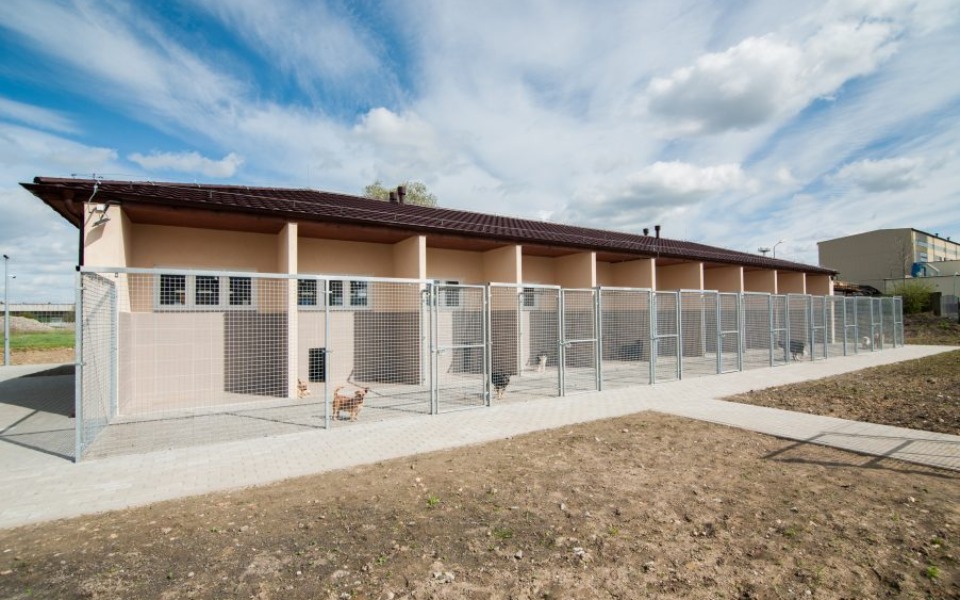 
        Zbiórka na schronisko w Świdnicy - zdjęcie główne
    