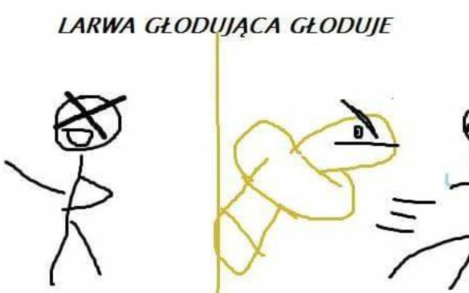 
        Zbiórka nakarmienoe lory - zdjęcie główne
    