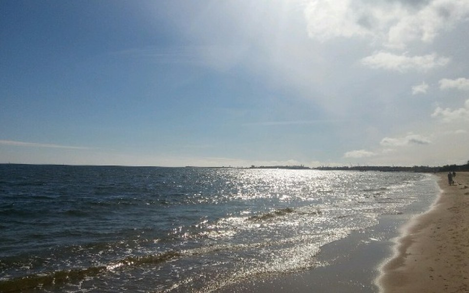 
        Zbiórka By zyc bez strachu - zdjęcie główne
    