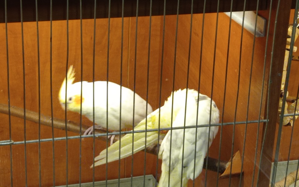 
        Zbiórka Na komputer 3 Katowice - zdjęcie główne
    