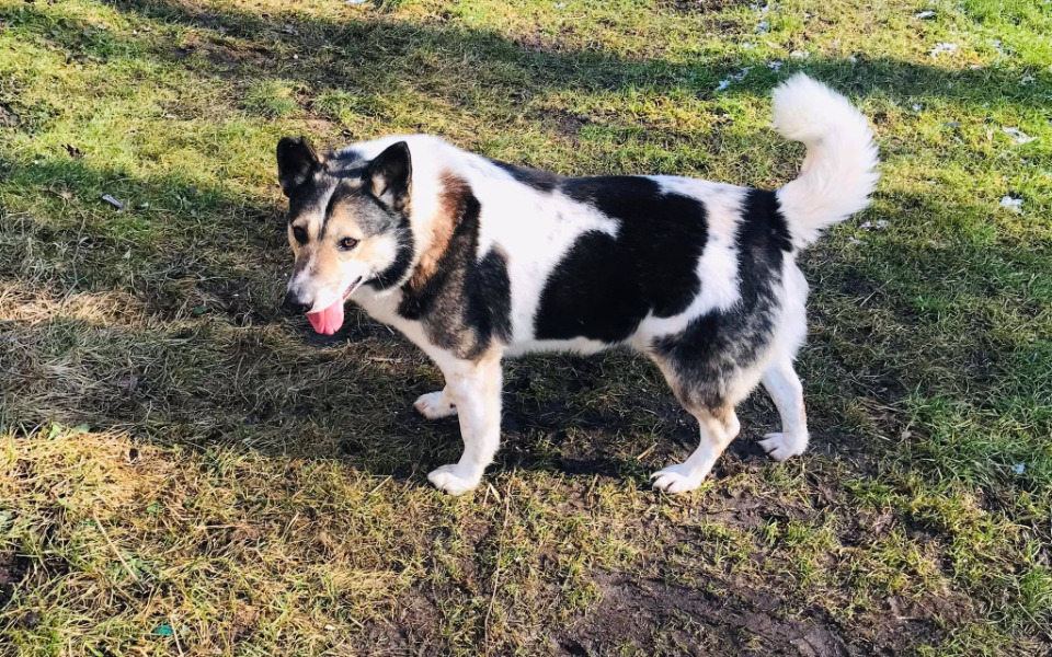 
        Zbiórka Atos z Radys ciągle bez wsparcia - zdjęcie główne
    