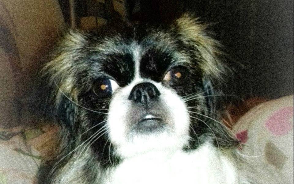 
        Zbiórka 16359 - zdjęcie główne
    