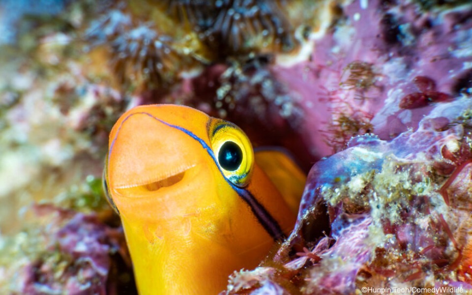 
        Zbiórka Na uchodźców - zdjęcie główne
    