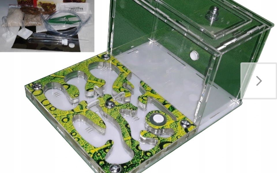 
        Zbiórka Na chodowlę mrówek - zdjęcie główne
    