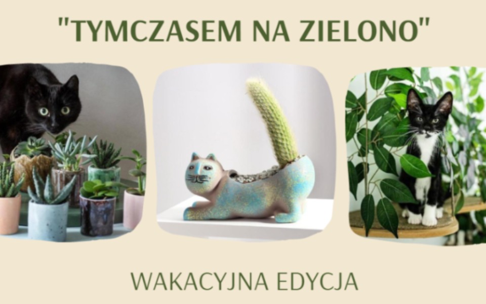 
        Zbiórka Tymczasem na Zielono - wakacje - zdjęcie główne
    