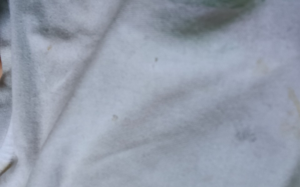 
        Zbiórka Niemam pieniędzy - zdjęcie główne
    