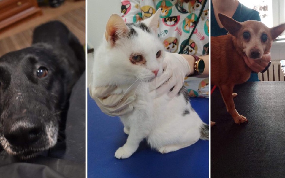 
        Zbiórka POMOC dla TYMCZASIKÓW - zdjęcie główne
    