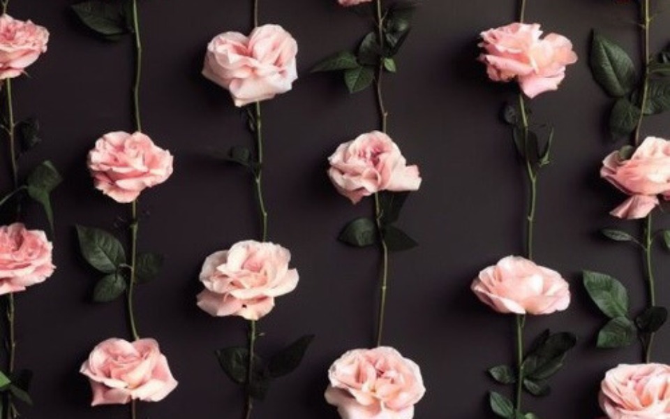 
        Zbiórka Wymarzona gitara dla córki. - zdjęcie główne
    