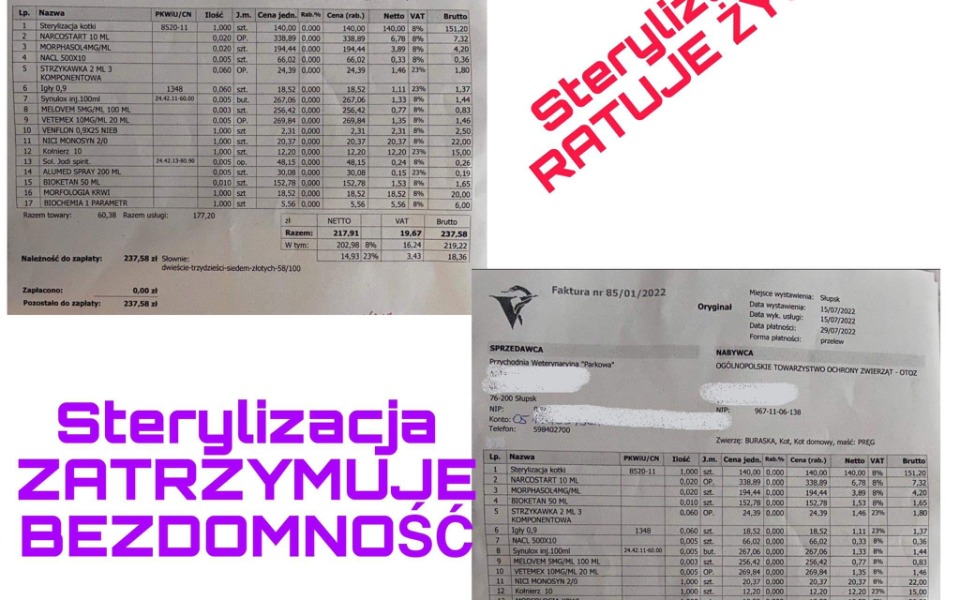 
        Zbiórka Sterylizacja zatrzyma bezdomność - zdjęcie główne
    