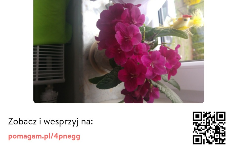 
        Zbiórka Dajcie szansę - zdjęcie główne
    