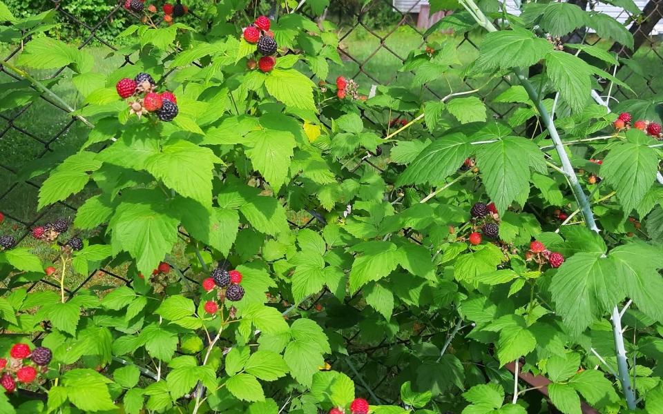 
        Zbiórka Na adwokata pomoc - zdjęcie główne
    