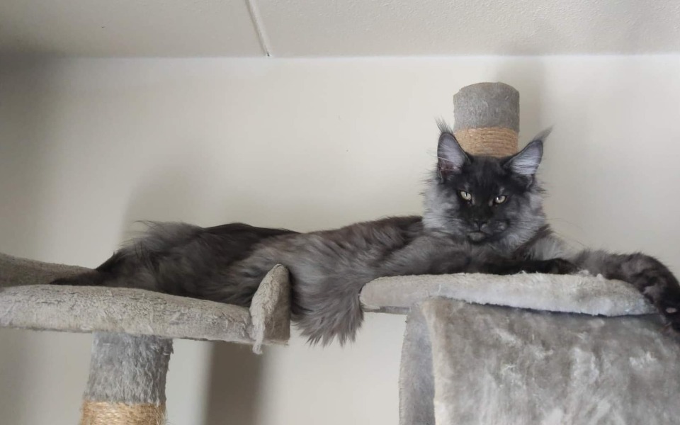 
        Zbiórka Stefcio - zdjęcie główne
    