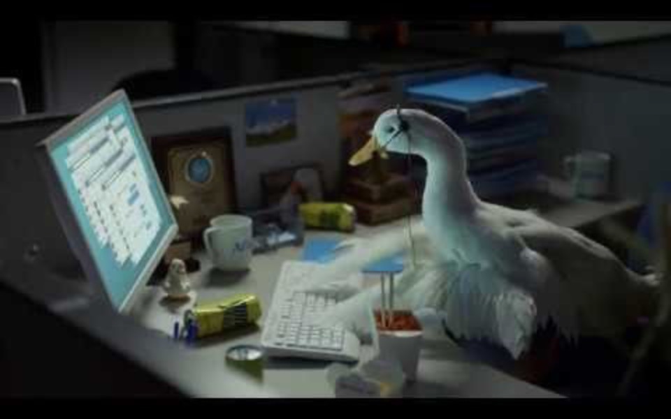 
        Zbiórka Galonza zbiera - zdjęcie główne
    