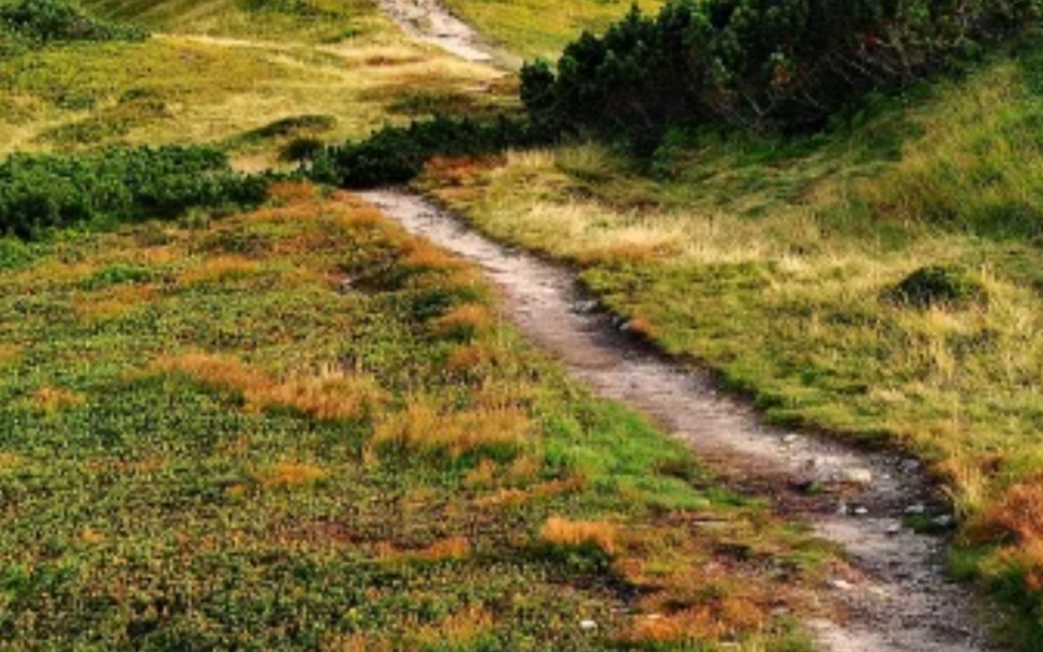 
        Zbiórka Wakacjeeeeeeeeee - zdjęcie główne
    