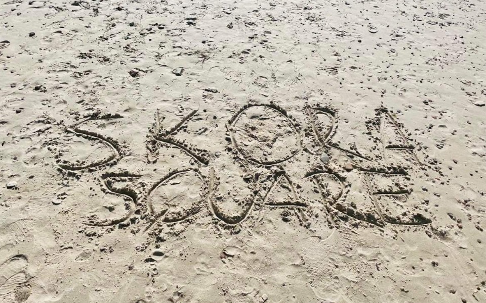 
        Zbiórka BiletUlgowydo 10 lat2plnNorml5 - zdjęcie główne
    