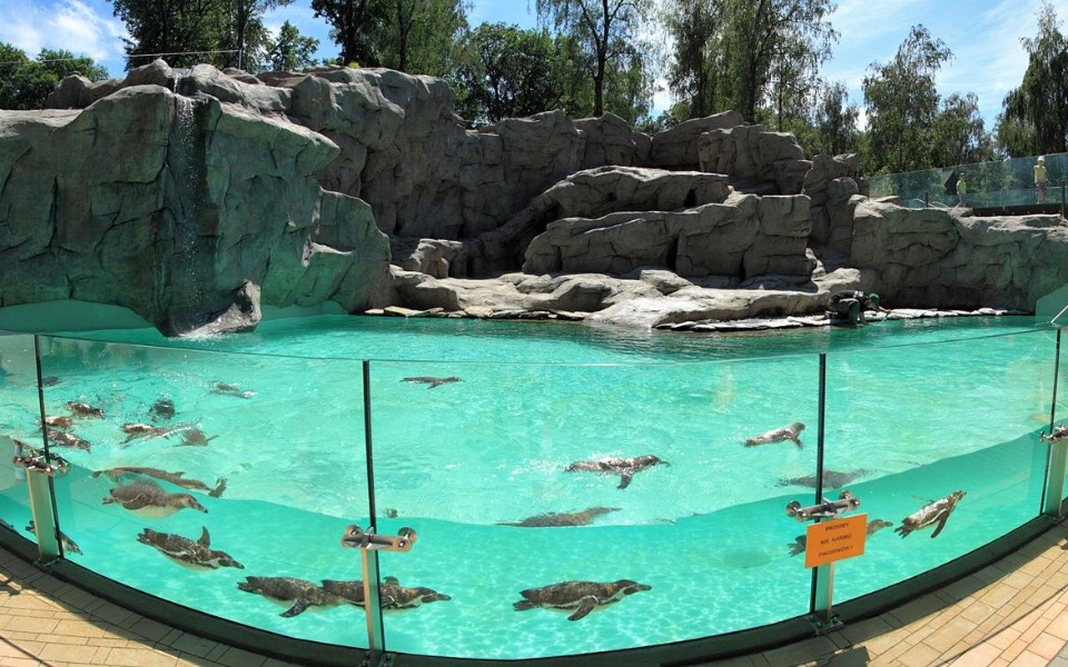 
        Zbiórka Zoo - zdjęcie główne
    