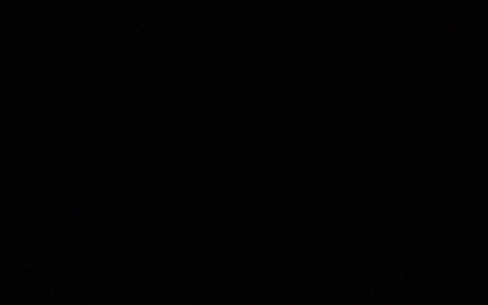 
        Zbiórka Pomoc na operacje pieska - zdjęcie główne
    