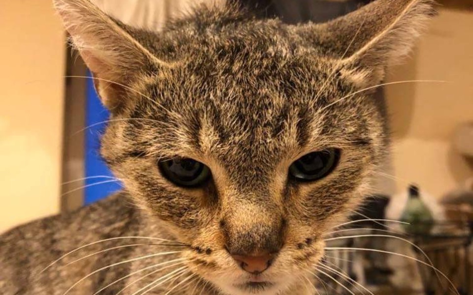 Zbiórka ModelkaWalczyFIP - zdjęcie główne