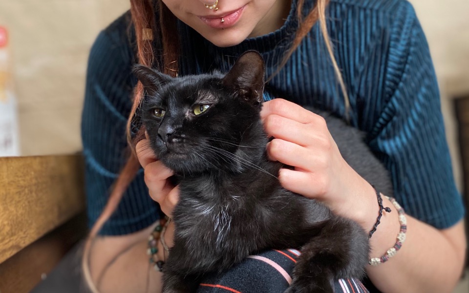 Zbiórka Leczenie Indii - zdjęcie główne