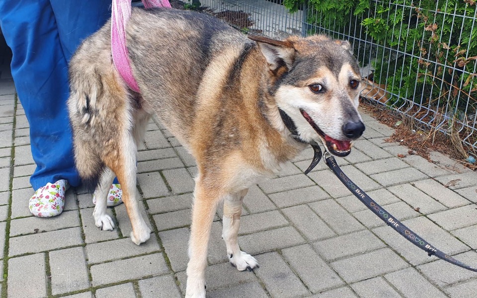 
        Zbiórka Na diagnostykę dla Tomusia - zdjęcie główne
    