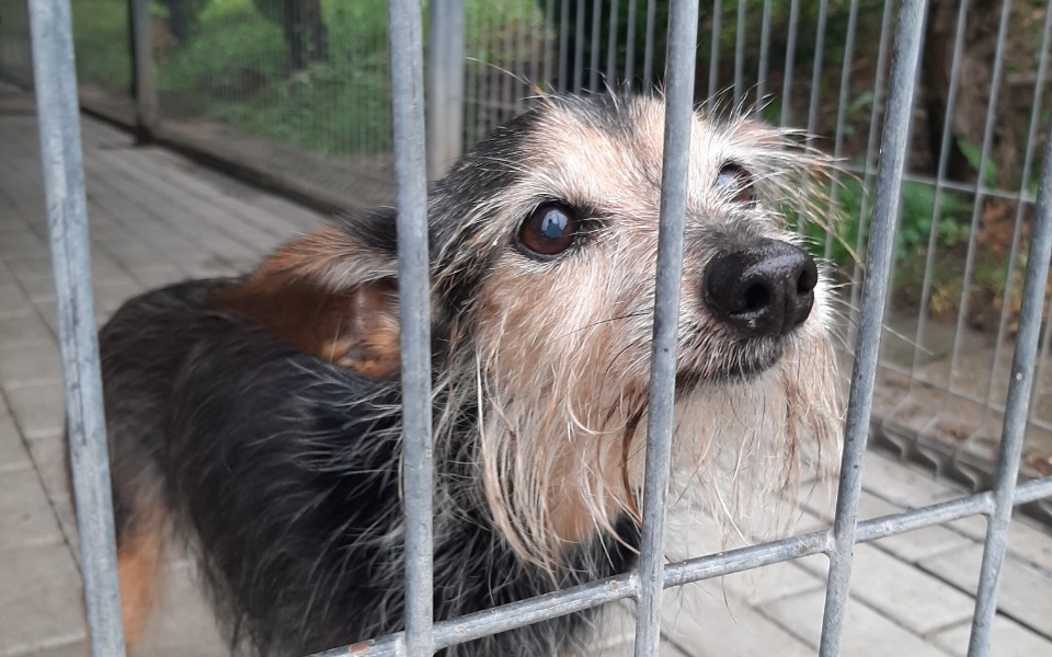 
        Zbiórka dla Anetki - zdjęcie główne
    