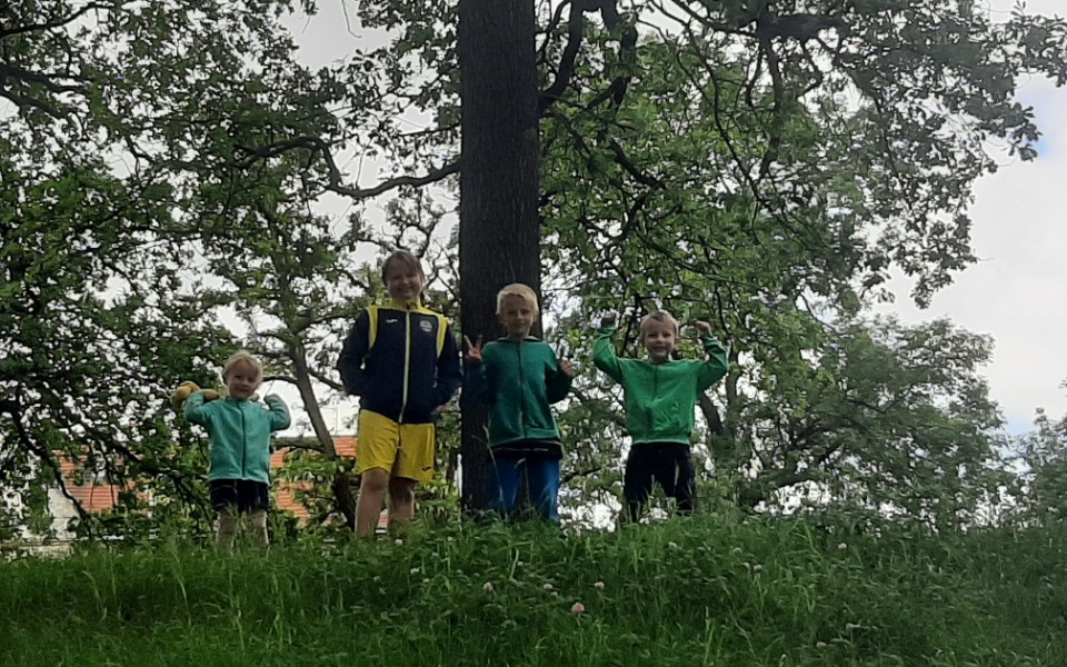 
        Zbiórka Sama mama buduje dom dla 7 dziec - zdjęcie główne
    