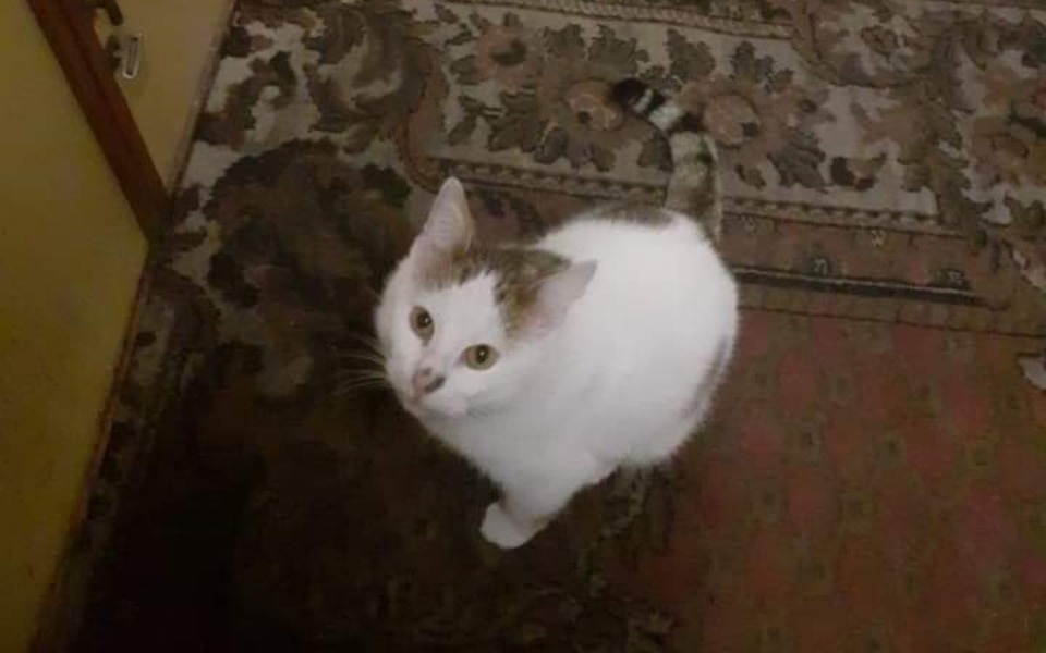 
        Zbiórka Uchronić przed śmiercią głodową - zdjęcie główne
    