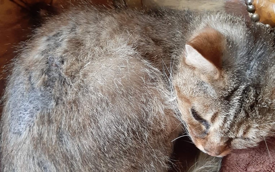 
        Zbiórka Zbiórka na kota ,,Bezimiennego - zdjęcie główne
    