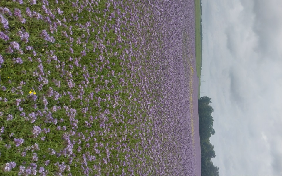 Zbiórka Na oddanie zaduzenia - zdjęcie główne