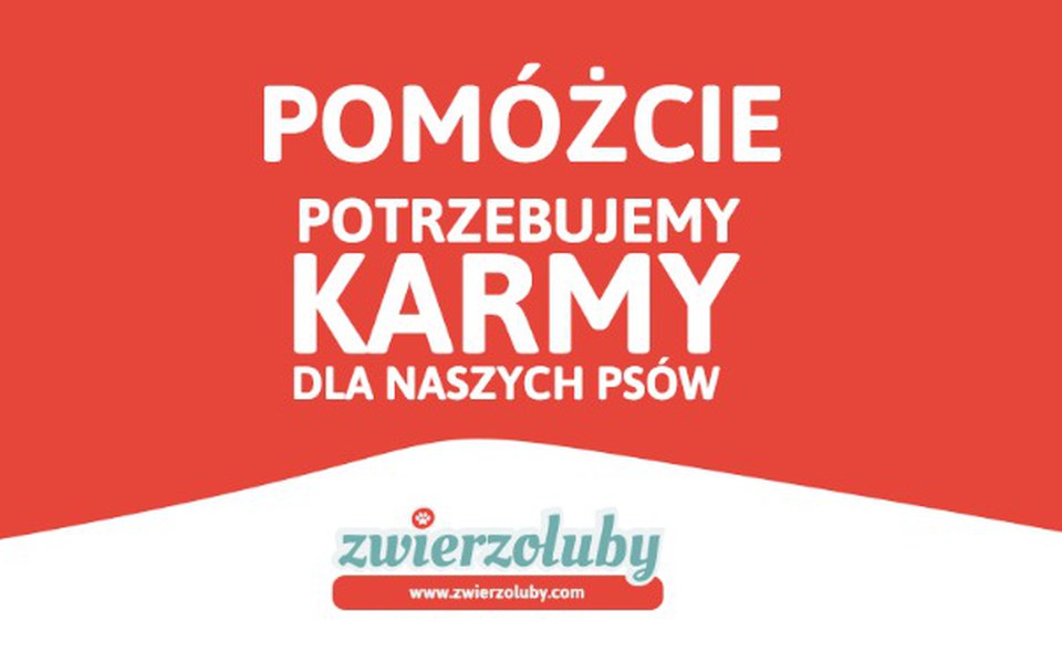 
        Zbiórka Pomóżcie nakarmić psiaki - zdjęcie główne
    