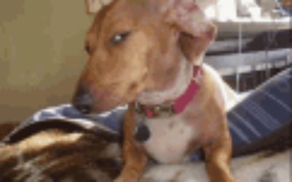 
        Zbiórka na komputer do grania m - zdjęcie główne
    