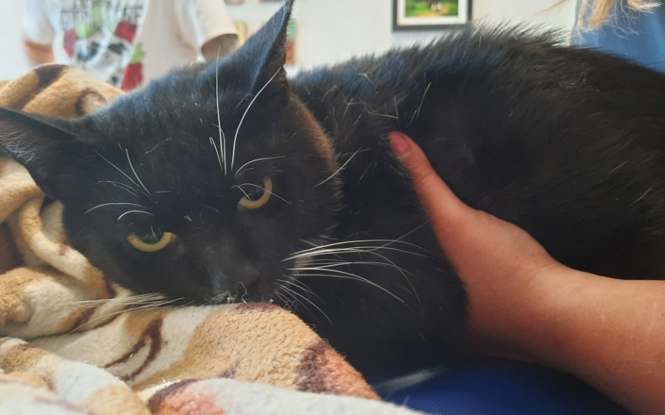 
        Zbiórka Pomoc dla Sambora - zdjęcie główne
    