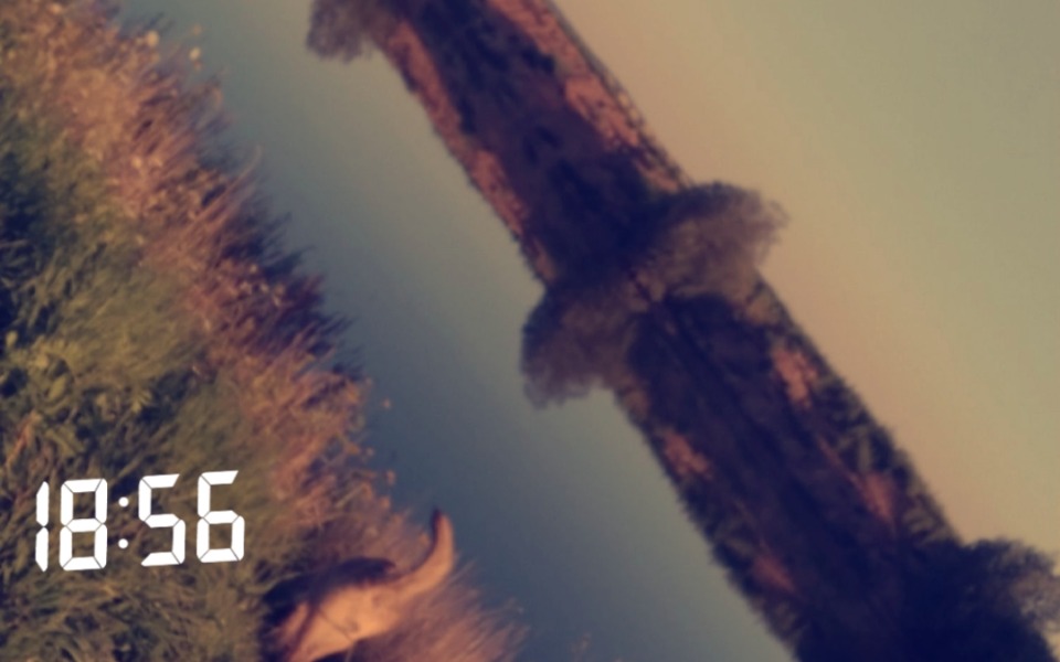 
        Zbiórka daj złotówkę, proszę - zdjęcie główne
    