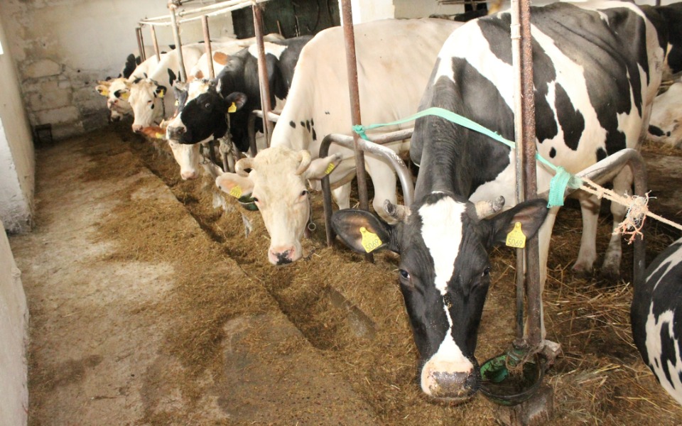 
        Zbiórka Rozwijanie swoich marzeń. - zdjęcie główne
    