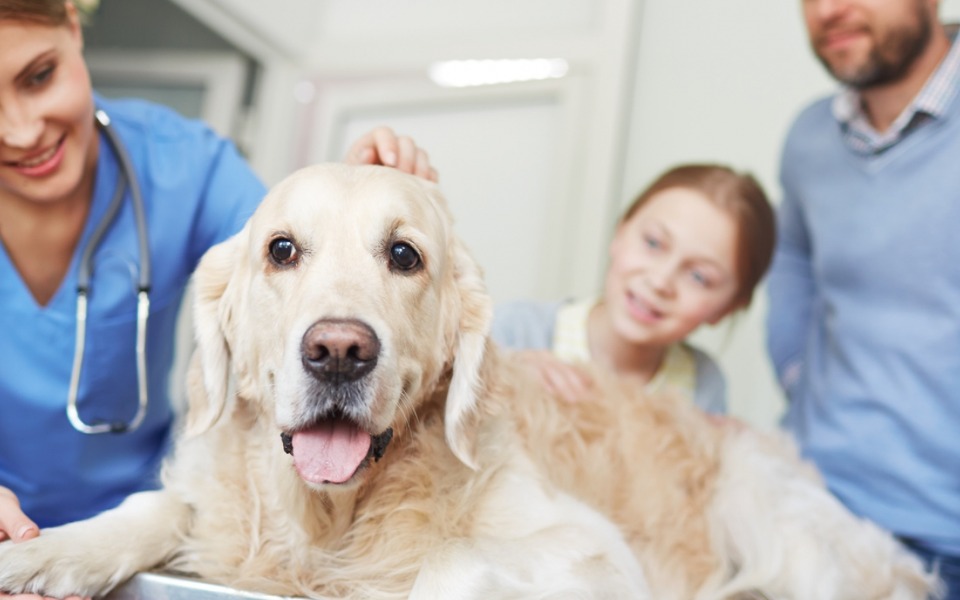 
        Zbiórka Na wymarzone studia dla dziecka - zdjęcie główne
    